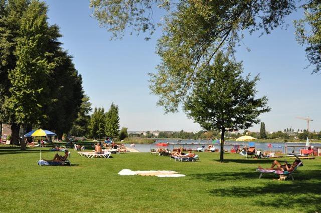 Schoenes Living Am Donauufer Wien Eksteriør bilde