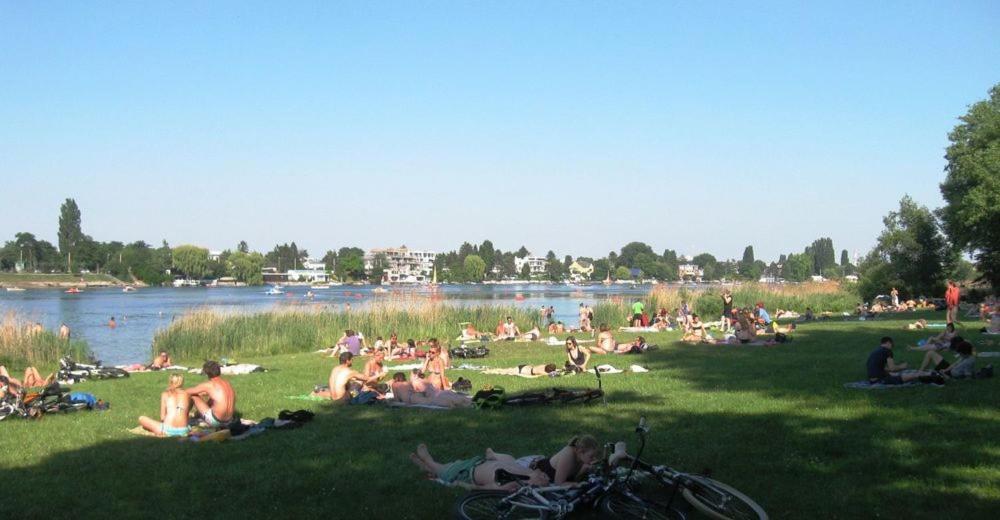 Schoenes Living Am Donauufer Wien Eksteriør bilde
